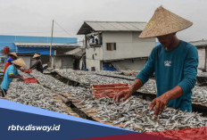 Tabel Angsuran KUR BRI Rp 25 Juta Bulan Juni 2026, Siapkan Uang Segini Per Bulan 