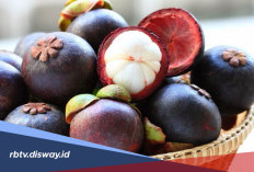 5 Manfaat Kulit Manggis untuk Kecantikan, Rahasia Kulit Sehat dan Awet Muda