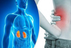 7 Kebiasaan Sepele yang Tanpa Disadari Bisa Merusak Kesehatan Ginjal Sejak Muda