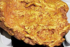 Still Buried in the Ground, Here's the Estimated Gold Reserves in Dompu, Indonesia