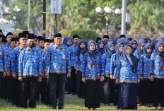 Kesempatan Jadi ASN, Ini Peluang Formasi CPNS 2026 untuk Lulusan SMA