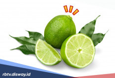 7 Manfaat Jeruk Purut untuk Kesehatan dan Cara Menggunakannya