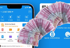 Cara Membuat Link Saldo DANA Kaget, Bisa Atur Sendiri Nominalnya