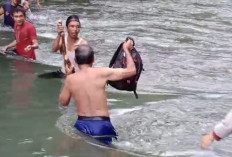 Jembatan Putus, Warga Seluma Utara Nekat Seberangi Sungai Air Pelubang