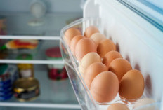 5 Ways to Store Eggs in the Refrigerator to Keep Them Safe and Long-Lasting