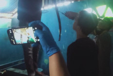 Tepat di Hari Ulang Tahun, Mahasiswa di Kota Bengkulu Ditemukan Meninggal Dunia dengan Cara Tragis