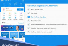 Nggak Pakai Lama, Berikut Langkah-langkah Upgrade ke DANA Premium