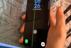 Penyebab Layar HP Muncul Garis Hijau (Green Line) Setelah Update: Ini Cara Klaim Garansi Resminya