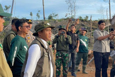 Hasil Tim Patroli Gajah Ditemukan 200 Hektar Hutan di Bengkulu Dirambah dan Ada Tambang Emas Liar 