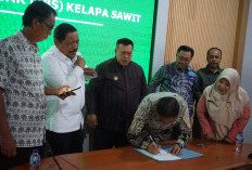 Pemprov Bengkulu Rapat dengan Perusahaan Kelapa Sawit,  Wagub Mian Minta Harga TBS Balik ke Rp3.465/Kg