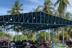 Turnamen Burung Murai Mania Goes to Bengkulu Gagal Digelar, Kenapa?