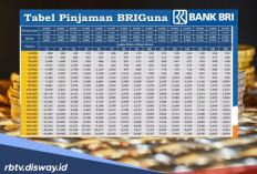 Bunga Pinjaman Non KUR BRI BRIGuna Karya Sangat Rendah, Plafon hingga Rp 2 Miliar Angsuran Selama 15 Tahun