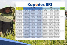 Tak Perlu Pusing Bayar Cicilan Bulanan, Kupedes BRI Bisa Pakai Sistem Yarnen