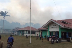 Bakar Lahan Berujung Petaka, Pemilik Mengaku Tak Sengaja