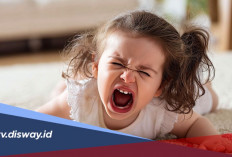 Anak Tantrum? Berikut 7 Cara Menghadapinya Tanpa Membentak
