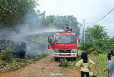 Seluma Dikepung Ancaman Karhutla, Armada Damkar Hanya 3 Unit yang Siap Tempur