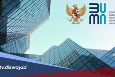 Lowongan Magang BUMN Masih di Buka, Cek Daftar Perusahaan dan Posisi yang Tersedia