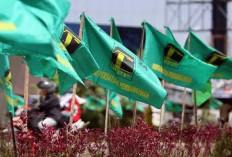 Hasil Muswil dibatalkan DPP, DPW PPP Bengkulu klaim hanya Paruh perintah Ketua Umum