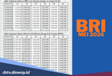 Simulasi Angsuran Pinjaman Kupedes BRI Mei 2026 Rp 20 Juta, Apa Saja Jenis Usaha yang Cocok Diberikan Modal?