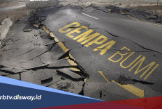 Waspada Gempa Bumi: Kenali Daerah Rawan dan Cara Tetap Aman saat Gempa