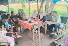 Penyebab Es Teh Viral di Danau Dendam, Dispar Kota Bengkulu Buat Aturan Ini
