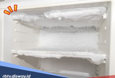 Penyebab dan Cara Mengatasi  Suhu Kulkas Terlalu Dingin Sampai Membeku