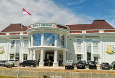 Dugaan Korupsi Dana Desa Dusun Baru Tinggal Penetapan Tersangka, 35 Saksi Diperiksa Kejari Seluma