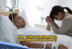 Bikin Penasaran, Apa yang Sebenarnya Dialami Pasien Koma? Ini Penjelasannya