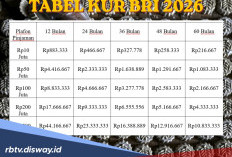 Cara Pantau Proses Pengajuan Pinjaman KUR BRI 2026, Cek Tabel Angsuran Pinjaman Rp 20 Juta