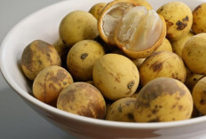 Deretan Manfaat Buah Duku untuk Kesehatan dan Kecantikan, Kaya Kandungan Nutrisi!