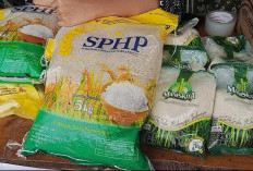 Perum Bulog KC Rejang Lebong Salurkan Bantuan Pangan untuk 35.684 KPM