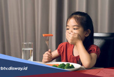 Waktu Makan Selalu Jadi Drama? Begini Cara Mengatasi Anak Susah Makan