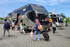 Berapa Harga Tiket Bus Bandung-Bengkulu 2026? Ini Daftar Harga, Jadwal Keberangkatan dan Fasilitasnya