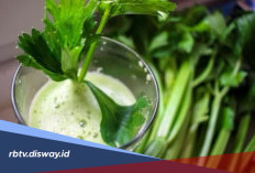 Segudang Manfaat Daun Ketumbar untuk Kecantikan, Simak Begini Cara Mengolahnya