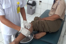 Tanggap Darurat Rabies, Dinkes Seluma Berhasil Tangani Ratusan Kasus Gigitan Sepanjang 2026
