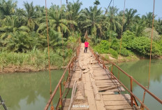 Kodim 0425/Seluma Rehab Jembatan Gantung Padang Merbau Gara-gara Ojek Sawit