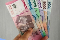 Daftar Aplikasi Penghasil Saldo DANA Gratis Resmi OJK, Terbukti Bayar