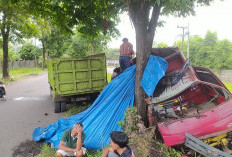 Truk Batu Bara Hantam Pohon di Sumber Jaya, Sopir Mengalami Luka Berat 