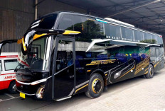 Harga Tiket Bus Semeru Trans Jakarta-Jogja Terbaru Maret 2026, Cek Jadwal Keberangkatannya