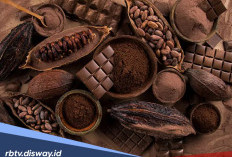Sering Dihindari, Ternyata Berikut 8 Manfaat Coklat untuk Kesehatan