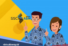 Sinyal Kuat Menteri PAN-RB Soal Jadwal Rekrutmen CPNS 2026 