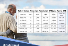 Debitur BRIguna Purna Meninggal Dunia, Apakah Kredit Bisa Dianggap Lunas? 