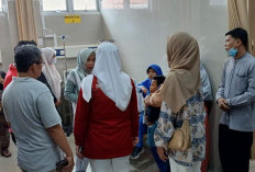 Usai Santap Menu MBG, 7 Murid SDN 59 Bengkulu Mengeluh Mual dan Pusing, Dibawa ke RSHD