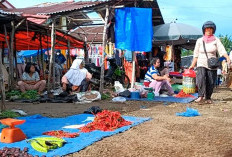 Pasar Sembayat Urung Disulap Jadi Pasar Tradisional Modern Seluma 