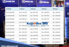 Tabel Pinjaman Kupedes BRI Rp 100 Juta, Berikut Tips Supaya Bisa Cair Dalam Tempo 3 Hari