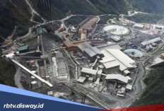 Potensi Bijih Emas yang Tersimpan di Tambang Emas Papua Tengah