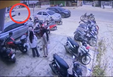 Beruang Madu Berkeliaran di Jalanan Pusat Kota Tais Kabupaten Seluma