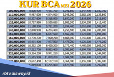 Tabel KUR BCA Mei 2026 Pinjaman Rp 10 Juta, Ini Jenis Usaha yang Diprioritaskan