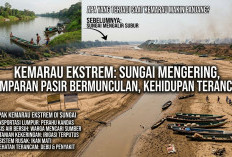 Sungai Mengering, Hamparan Pasir Bermunculan, Apa yang Terjadi Saat Kemarau Makin Panjang?