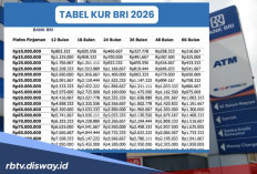 Tabel KUR BRI Pinjaman Rp 55 Juta Tenor 24 Bulan, Apakah Butuh NPWP Sebagai Syaratnya?
